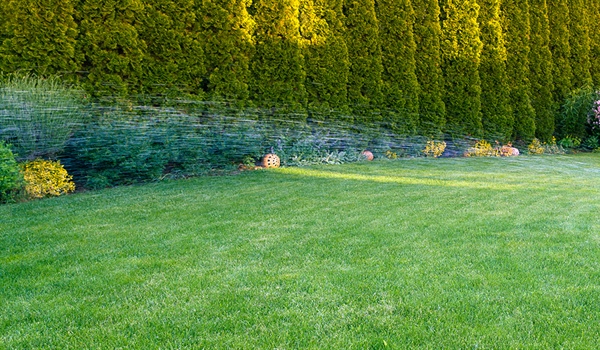 Spring Is Here: Time to Turn Your Irrigation System Back On