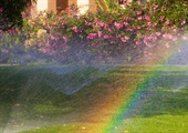 Why We’re Extending Our $250 Off New Irrigation Installation Special Through the End of 2026