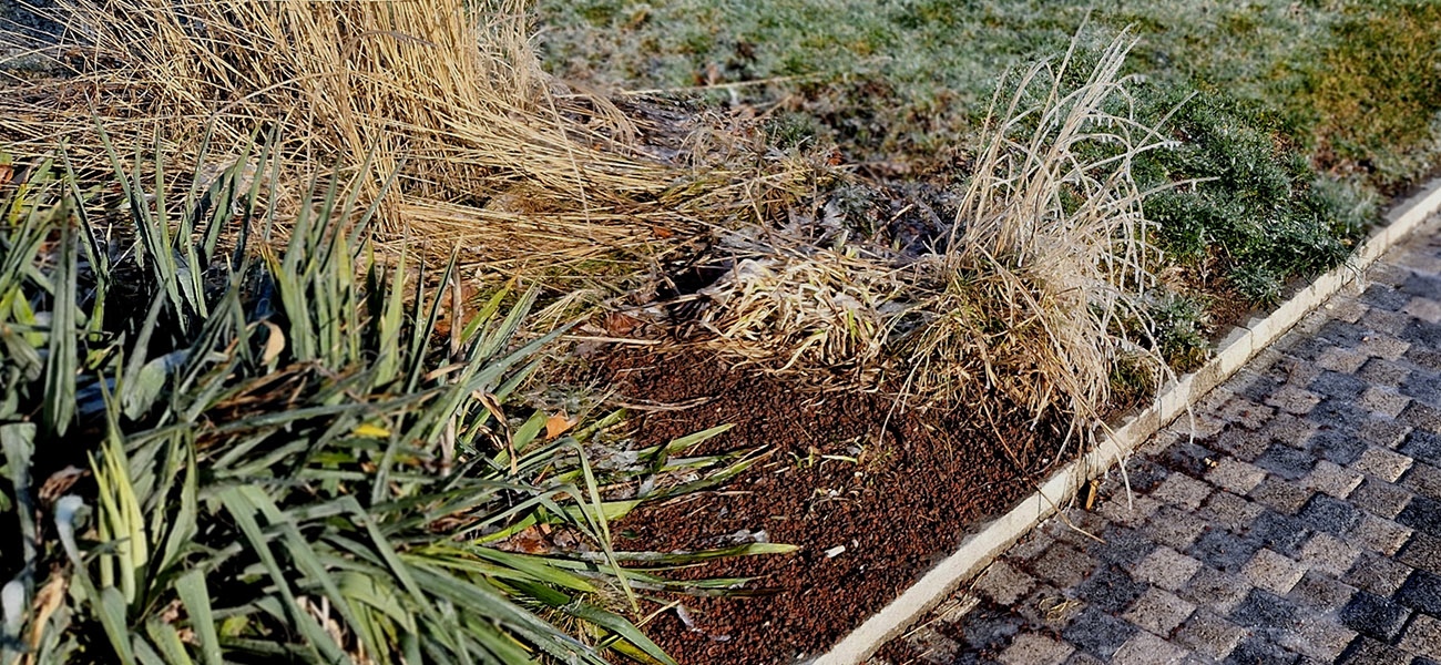 5 Reasons You Should Have a Professional Winterize Your Irrigation System (And What Can Go Wrong If You Don't)