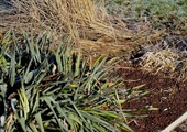 5 Reasons You Should Have a Professional Winterize Your Irrigation System (And What Can Go Wrong If You Don't)